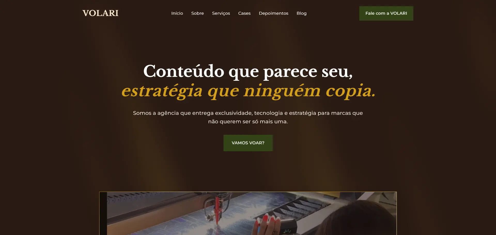 Volari - Agência de Marketing Digital